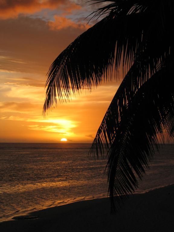 Motu Beachfront Art Villas Rarotonga Kamer foto